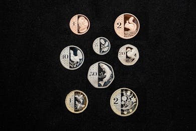 The new coins.jpg